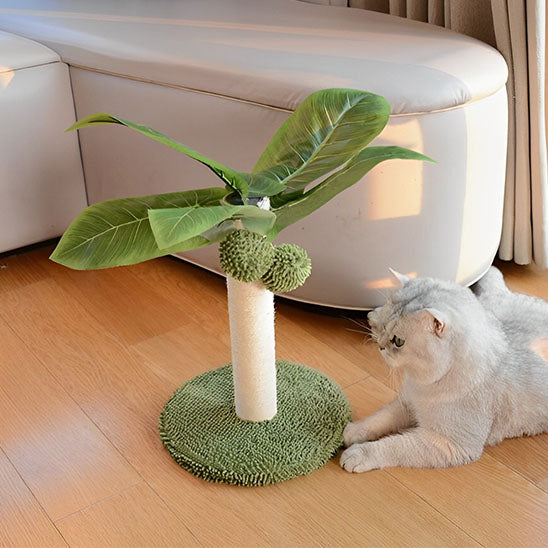 Arbre à Chat - Palmier™ - Ronron-Toudou