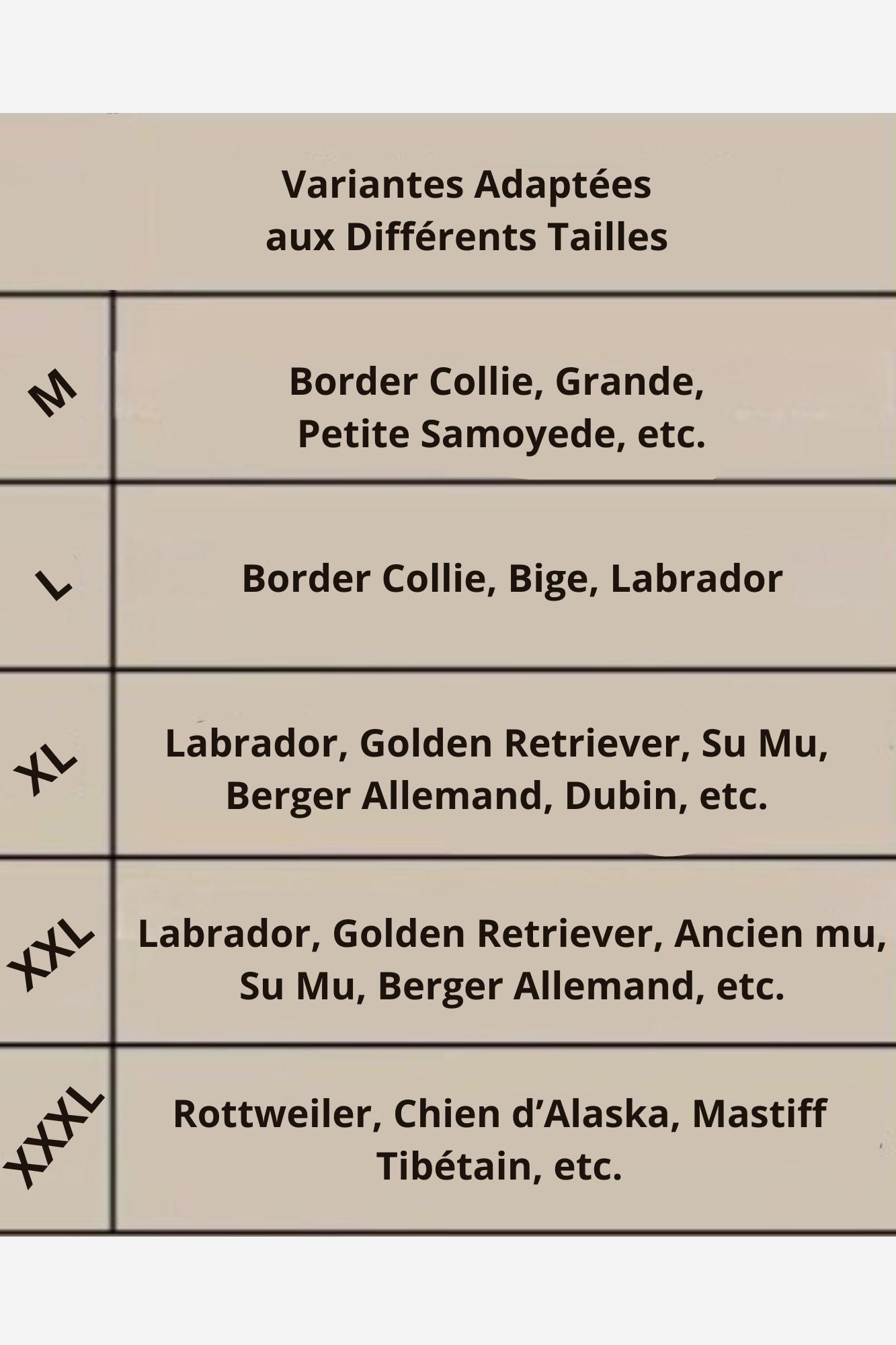 Fauteuil roulant pour chien | MobilityPlus