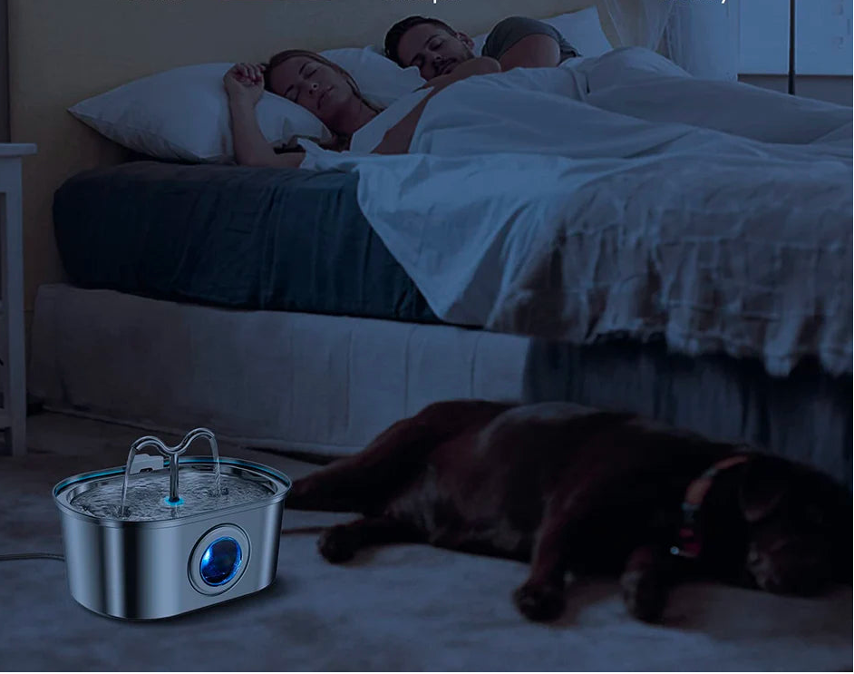 fontaine-à-eau-pour-chat-duo-silencieux