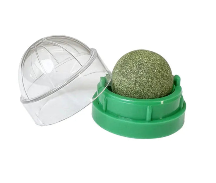 Herbe à chat - Laboulle™ - Ronron-Toudou