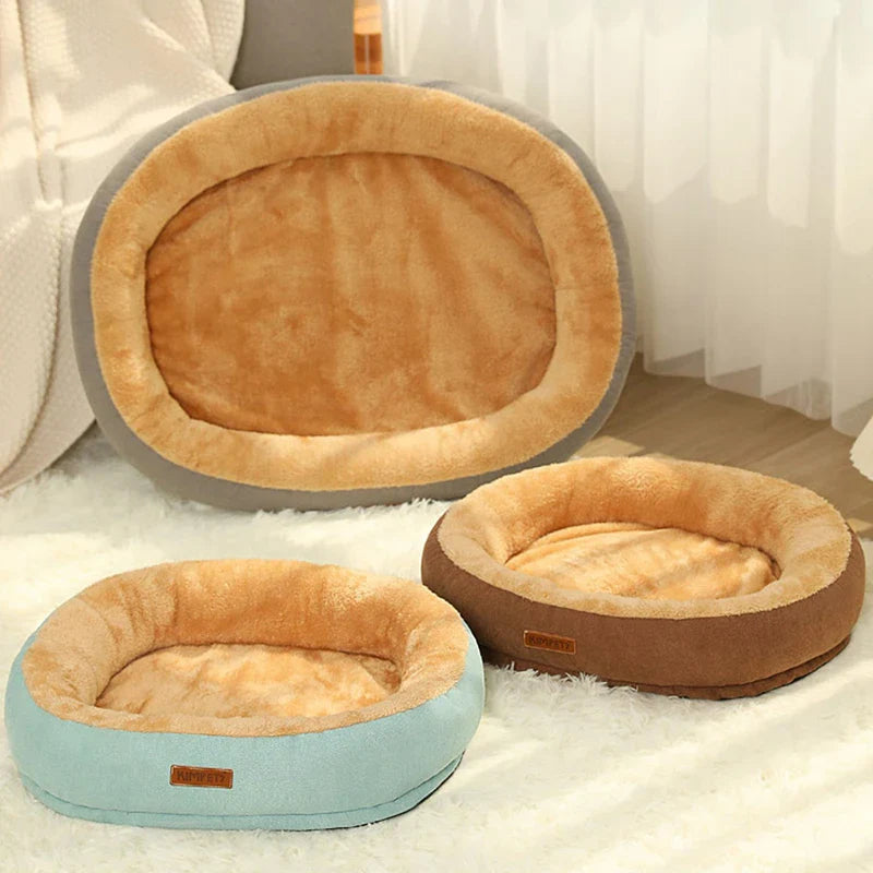 Le Panier Parfait pour Votre Chat !