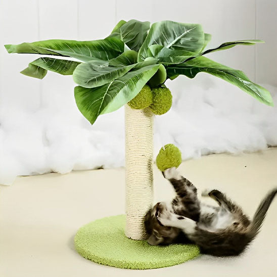 Arbre à chat - Ronron-Toudou