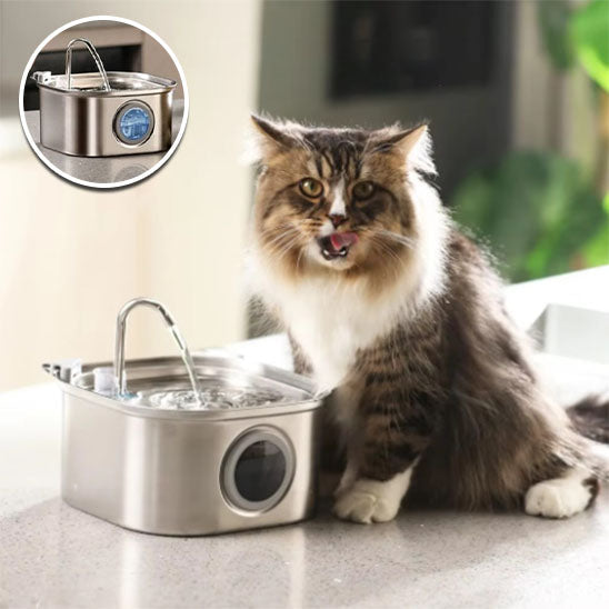 Fontaine a eau pour chat