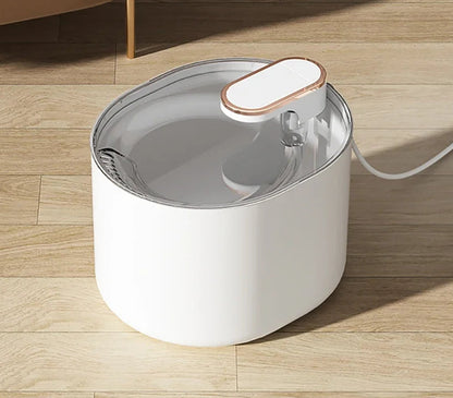 Fontaine a eau pour chat Led™ | Lumineuse 3L