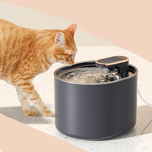 Fontaine a eau pour chat Led™ | Lumineuse 3L