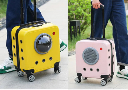 Poussette pour Chat - Hublot™ | Panoramique