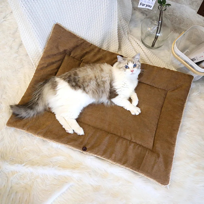 Coussin chat - Récho™ | Chaleureux