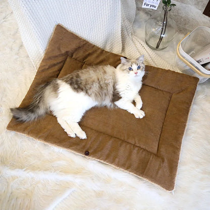 Coussin chat - Récho™ | Chaleureux