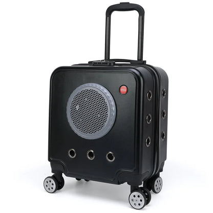 Poussette pour Chat - Hublot™ | Panoramique