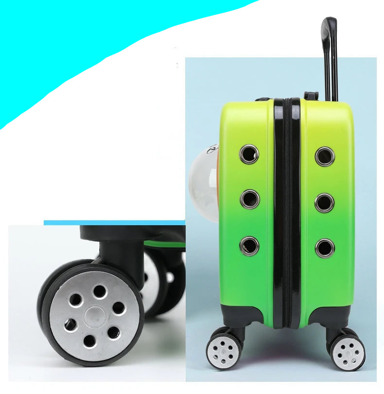 Poussette pour Chat - Hublot™ | Panoramique