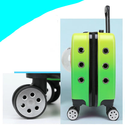 Poussette pour Chat - Hublot™ | Panoramique