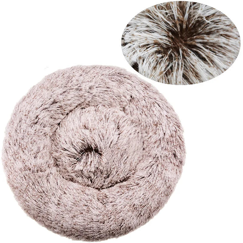 Coussin pour Chat | Ultra-Confortable