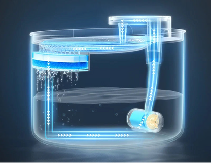 Fontaine a eau pour chat Led™ | Lumineuse 3L