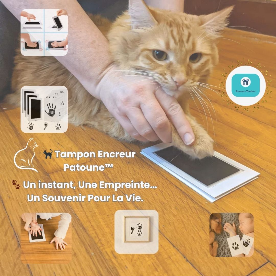 Tampon encreur - Patoune™ | EmpreintePet
