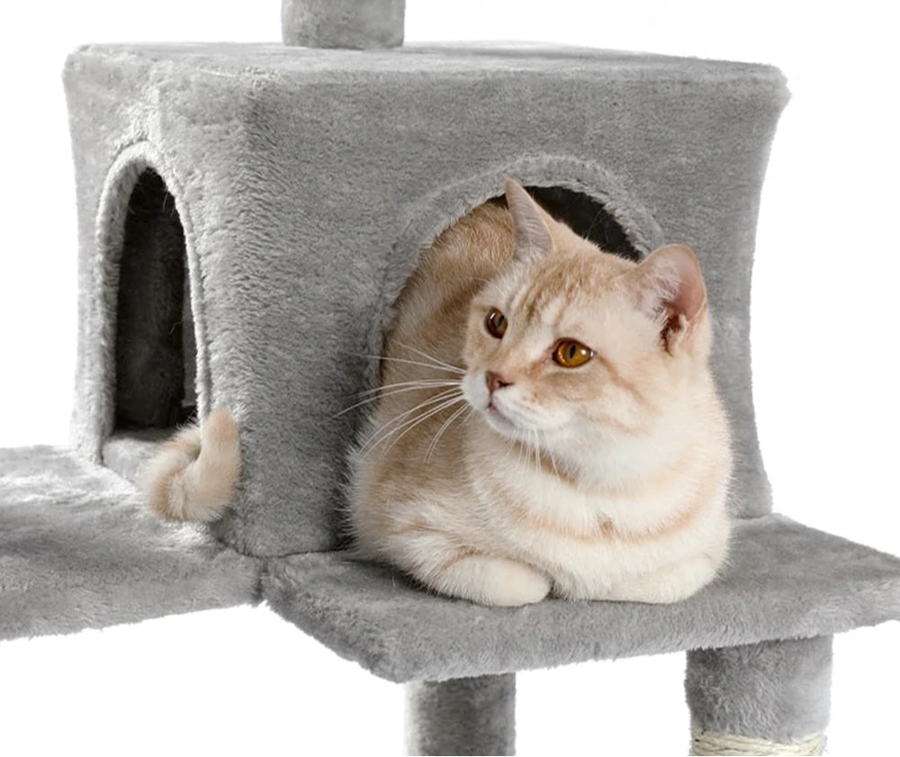 arbre-à-chat-cool-poser