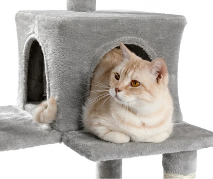 arbre-à-chat-cool-poser