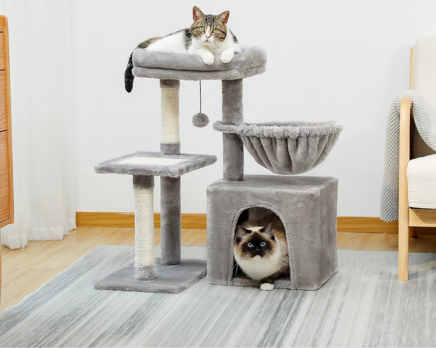 arbre-a-chat-colors-tranquille