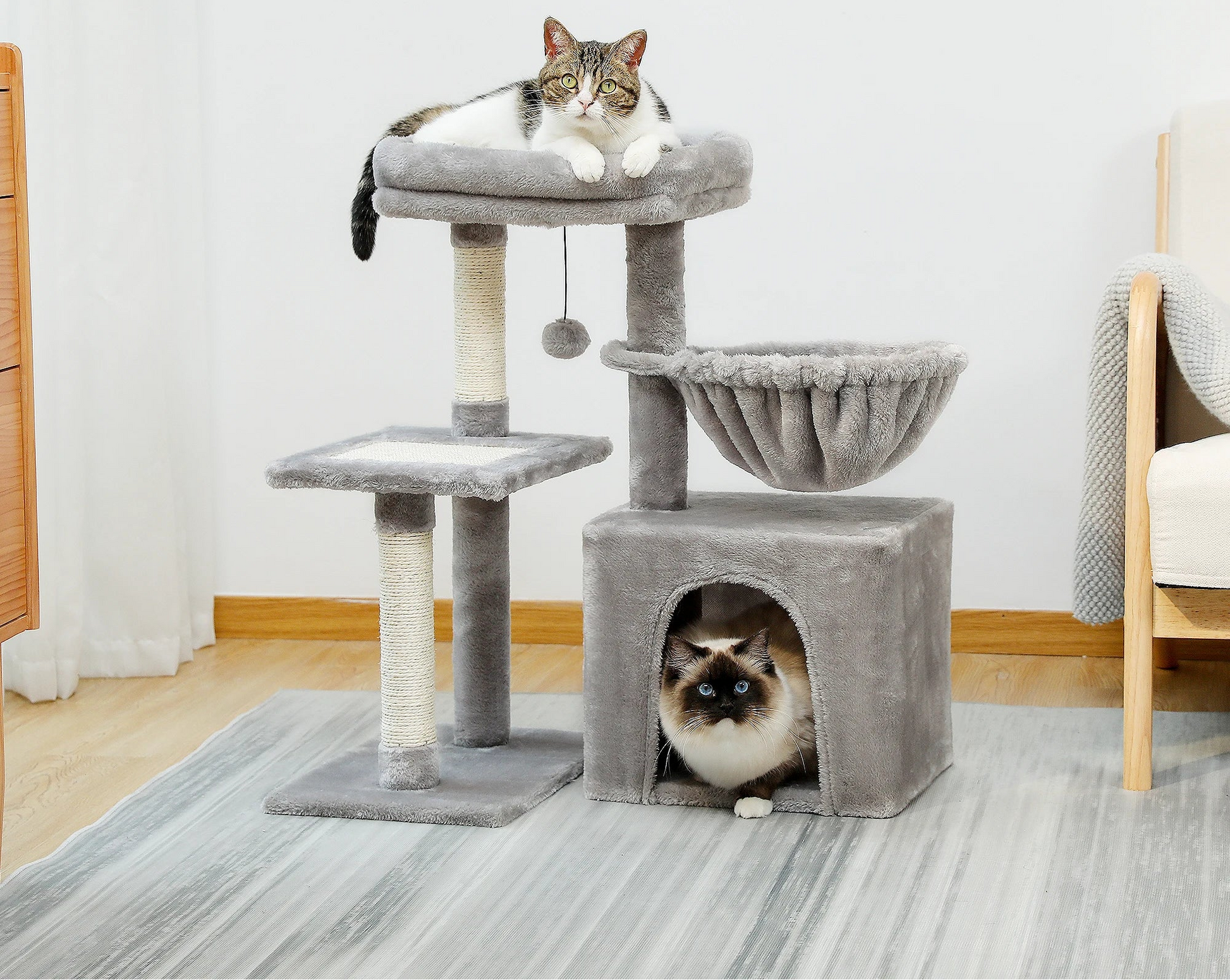 arbre-a-chat-colors-tranquille