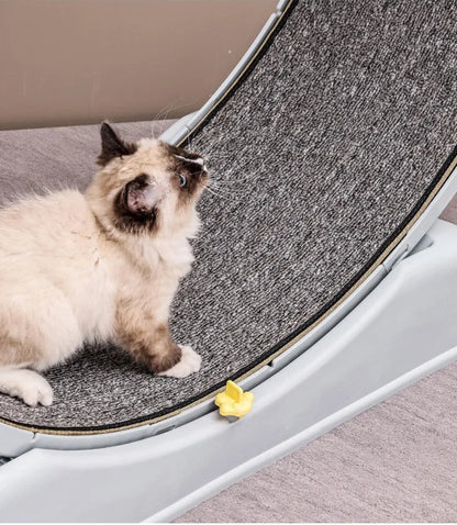 Arbre a chat - Fitness™ - Ronron-Toudou