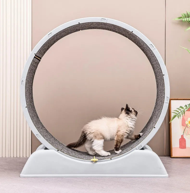 Arbre a chat - Fitness™ - Ronron-Toudou