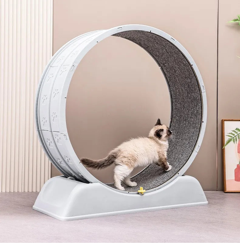 Arbre a chat - Fitness™ - Ronron-Toudou