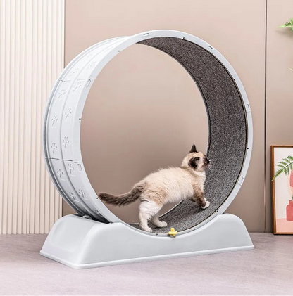 Arbre a chat - Fitness™ - Ronron-Toudou