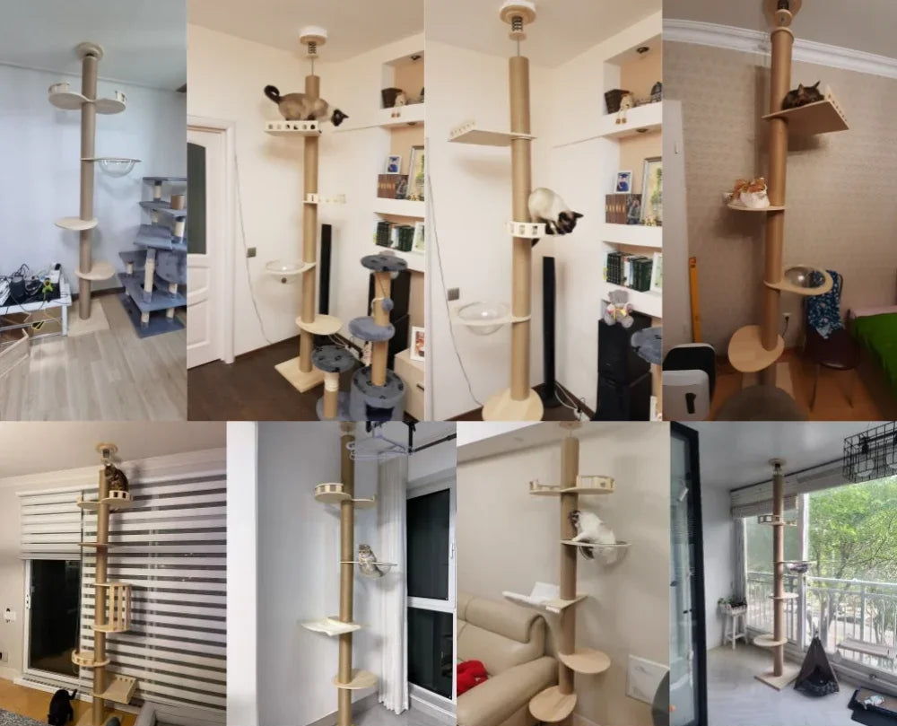 Arbre à Chat - Fix™ - Ronron-Toudou