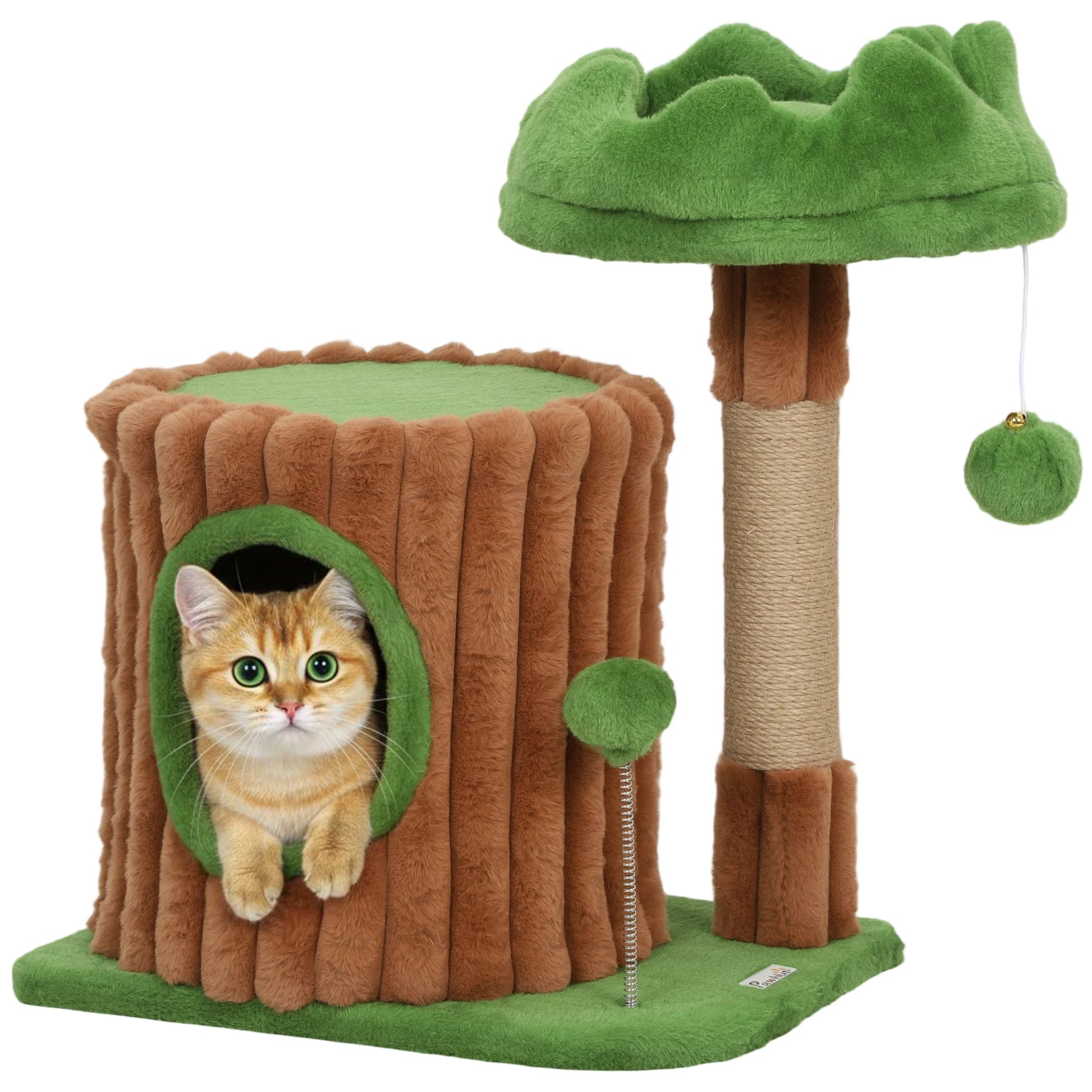 arbre-a-chat-foret