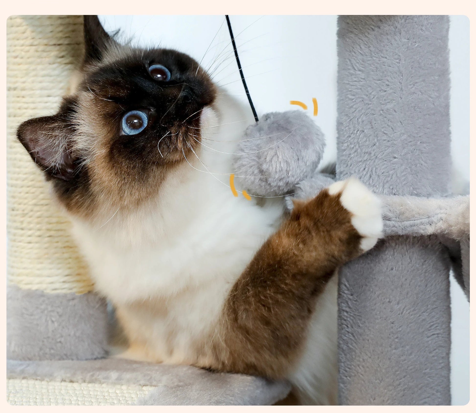 Arbre a chat - L'petit™ - Ronron-Toudou