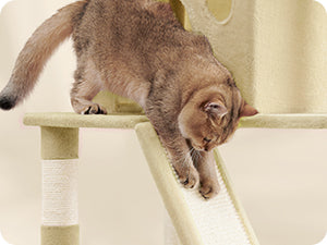 Arbre a chat - Montagne™ - Ronron-Toudou