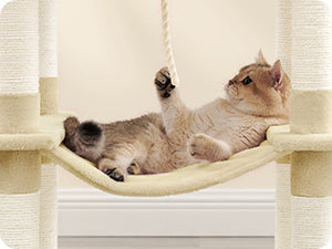 Arbre a chat - Montagne™ - Ronron-Toudou