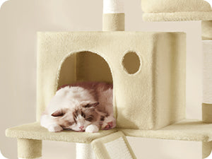 Arbre a chat - Montagne™ - Ronron-Toudou