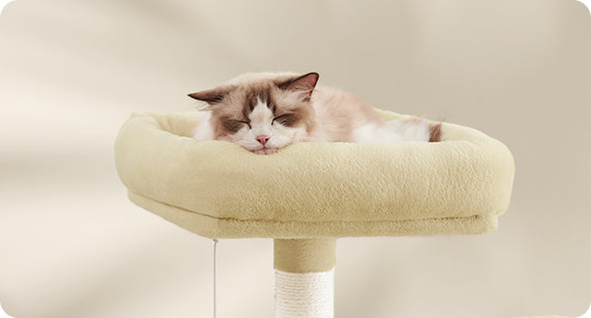 Arbre a chat - Montagne™ - Ronron-Toudou