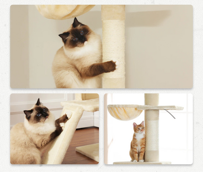 Arbre a Chat Niché™ - Ronron-Toudou