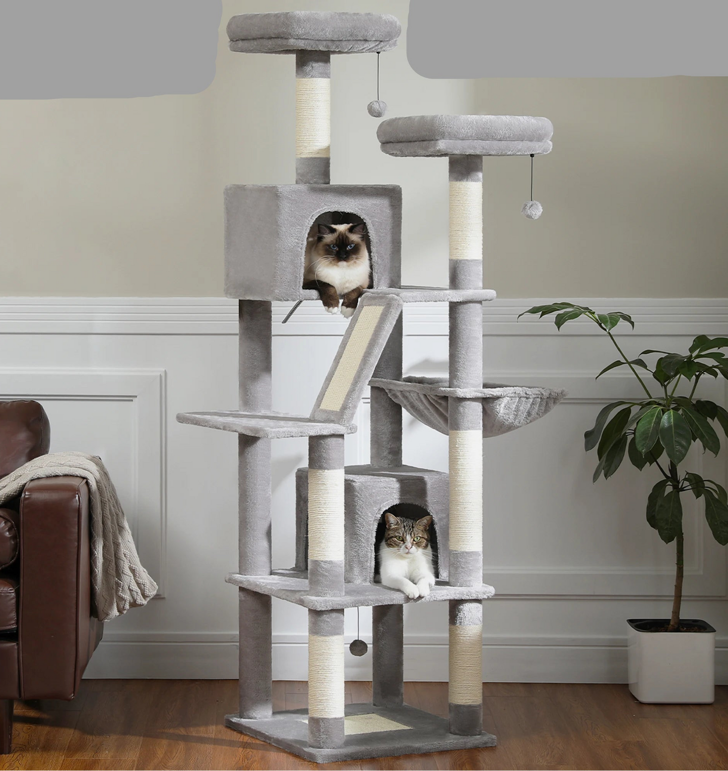 arbre-a-chat-tours