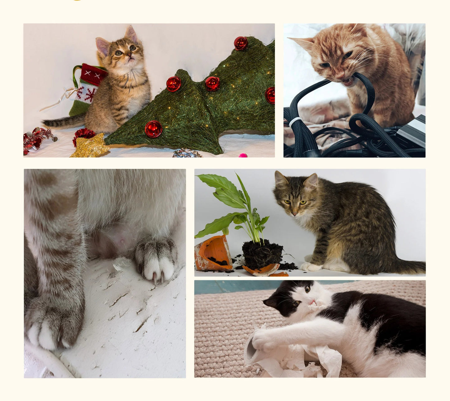 arbre-a-chat-tresse-minou