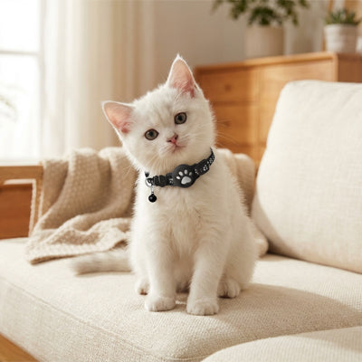 collier-gps-chat-facile