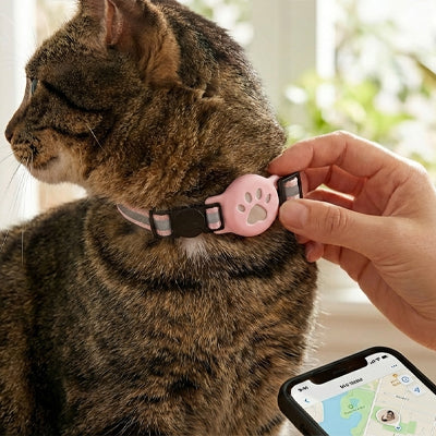 collier-gps-chat-fonctionnel