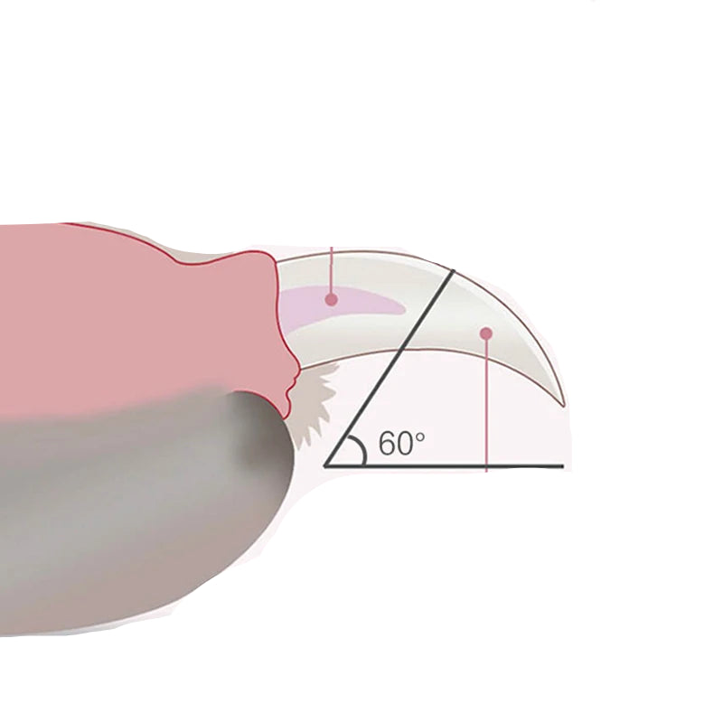 Coupe-ongle Pince™ - Ronron-Toudou
