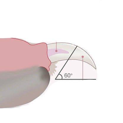 Coupe-ongle Pince™ - Ronron-Toudou