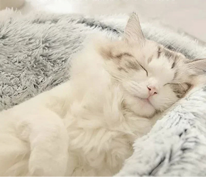 Coussin Chat - Sommeil™ - Ronron-Toudou