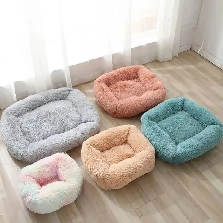 coussin-pour-chat-moelleux-ultra-colorie