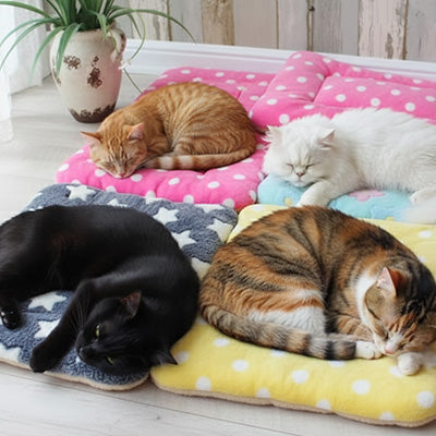 coussin-pour-chat-tapistoudou-confortable