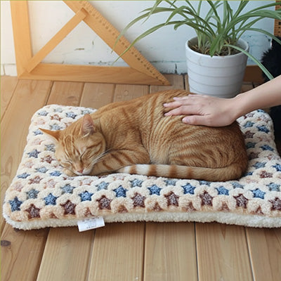 coussin-pour-chat-tapistoudou-ronron