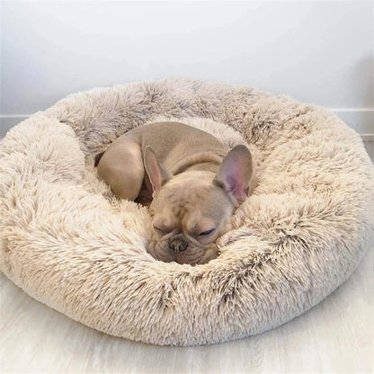 coussin-pour-chat-ultra-dodo