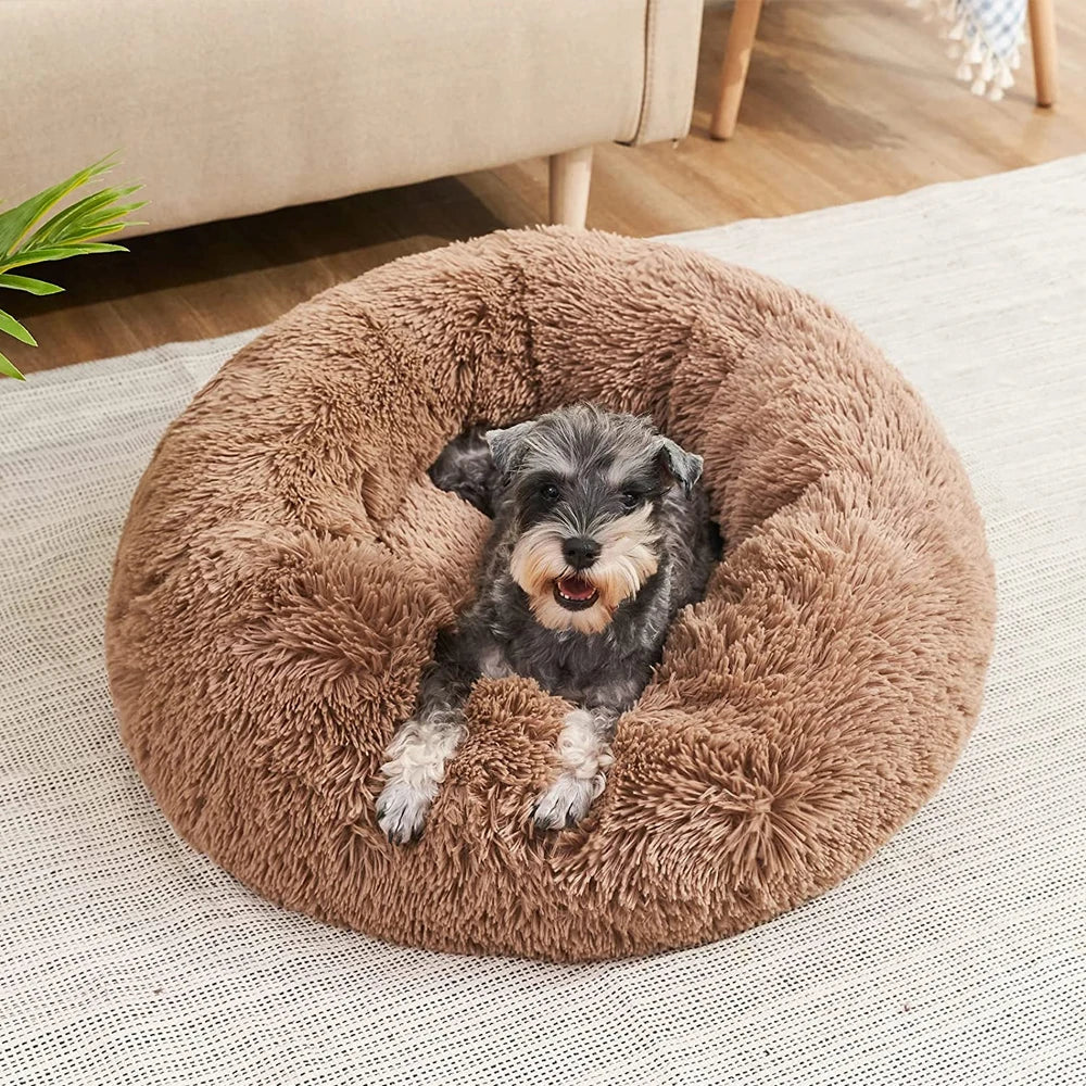 coussin-pour-chat-ultra-poser