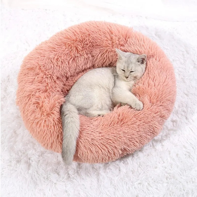 coussin-pour-chat-ultra-repos