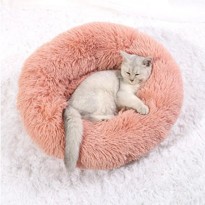 coussin-pour-chat-ultra-repos