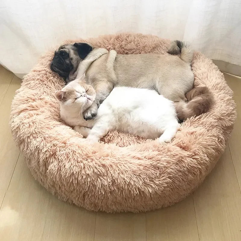 coussin-pour-chat-ultra-reposant