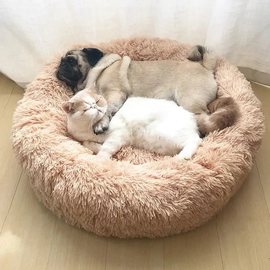 coussin-pour-chat-ultra-reposant